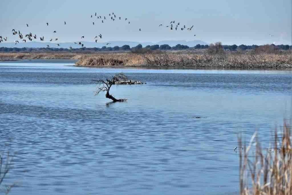 Apto. Singular En La Mancha Banco De Inversiones Argamasilla De Alba Luaran gambar
